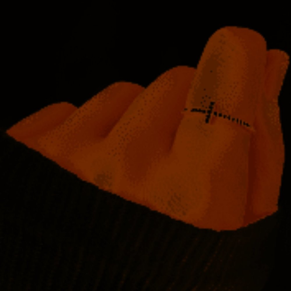 bible ring